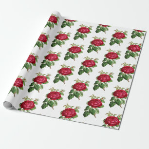 Rote Rose Botanisches Illustrationsmuster Vintag Geschenkpapier