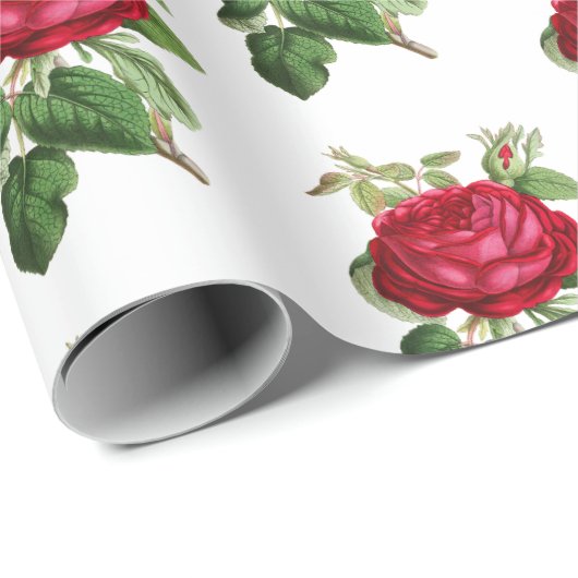 Rote Rose Botanisches Illustrationsmuster Vintag Geschenkpapier (Rolleneckpunkt)