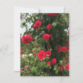 Rote Rose Bouquet UAWG Repcard RSVP Karte (Rückseite)