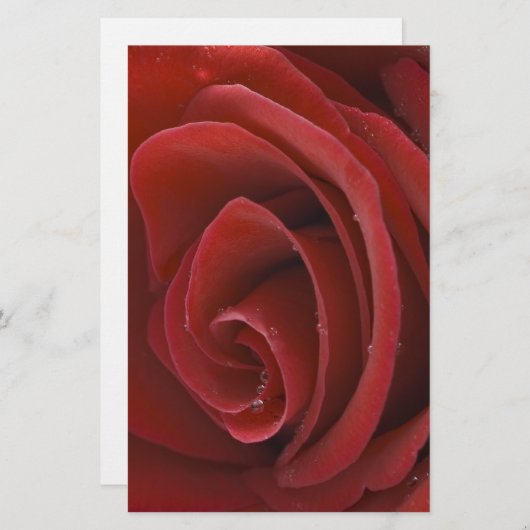 Rote Rose Briefpapier (Vorne/Hinten)