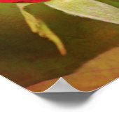 Rote Rose Bud Fotografy Art Print Poster (Ecke)