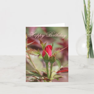 rote Rose Bud Happy Birthday Card Karte
