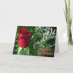 Rote Rose Bud Karte