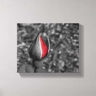 Rote Rose Bud Leinwand