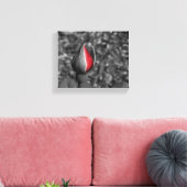Rote Rose Bud Leinwand (Insitu (Wohnzimmer))