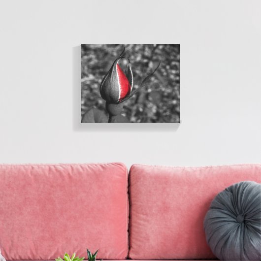 Rote Rose Bud Leinwand (Insitu (Wohnzimmer))