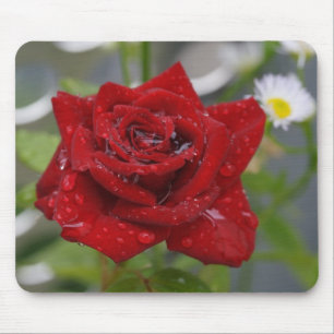 Rote Rose Bud Mousepad