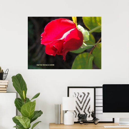 Rote Rose Bud Poster (Heimbüro)