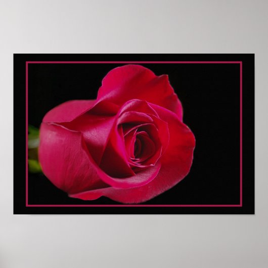 Rote Rose Bud Print Poster (Vorne)