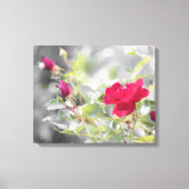 Rote Rose Bush Stretched Canvas Print Leinwanddruck (Vorderseite)