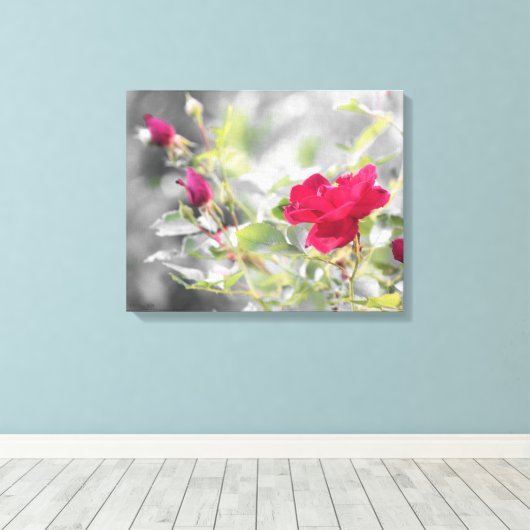 Rote Rose Bush Stretched Canvas Print Leinwanddruck (Insitu (Holzboden))