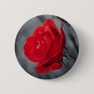 Rote Rose Button