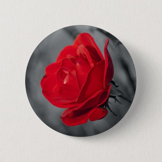 Rote Rose Button (Vorderseite)