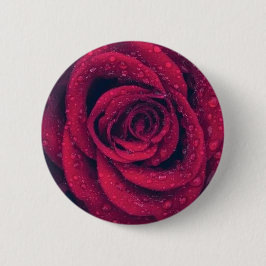 rote Rose Button