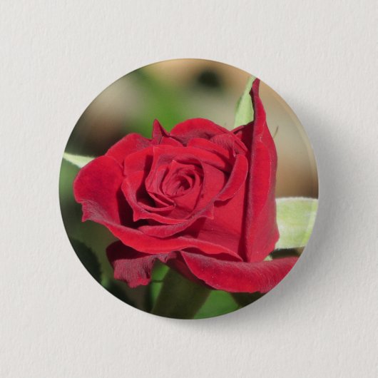Rote Rose Button (Vorderseite)