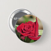 Rote Rose Button (Vorne & Hinten)