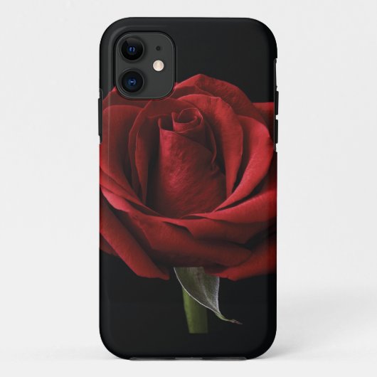 Rote Rose Case-Mate iPhone Hülle (Rückseite)