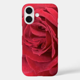 Rote Rose iPhone 16 Hülle