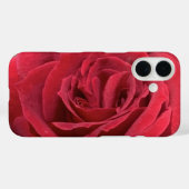 Rote Rose Case-Mate iPhone Hülle (Rückseite (Horizontal))