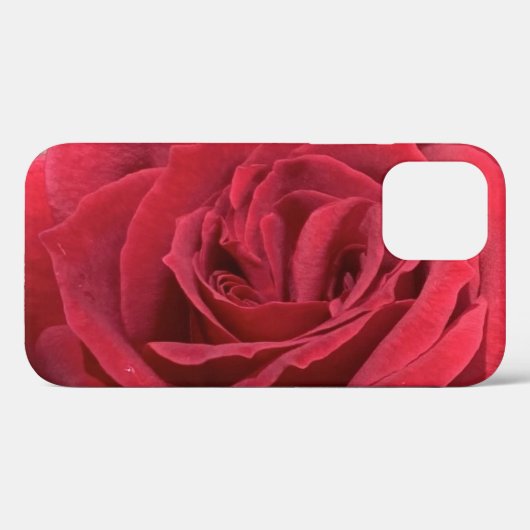 Rote Rose Case-Mate iPhone Hülle (Rückseite (Horizontal))