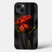 Rote Rose Case-Mate iPhone Hülle (Rückseite)