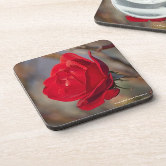 Rote Rose Cork Untersetzer (Linke Seite)