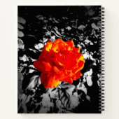 Rote Rose Custom 8.5" x 11" Spiral Notebook Notizblock (Rückseite)