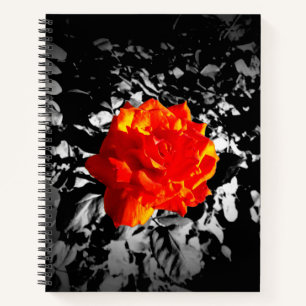 Rote Rose Custom 8.5" x 11" Spiral Notebook Notizblock
