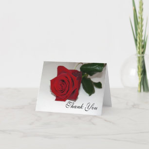 Rote Rose Danke
