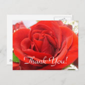 Rote Rose Danke! Postkarte (Vorne/Hinten)