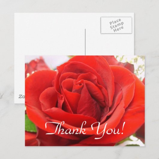 Rote Rose Danke! Postkarte (Vorne/Hinten)