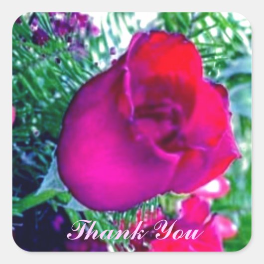 Rote Rose - Danke, Sticker (Vorderseite)