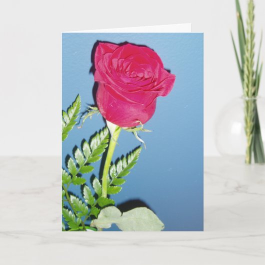 „Rote Rose“ Dankeskarten Karte (Vorderseite)