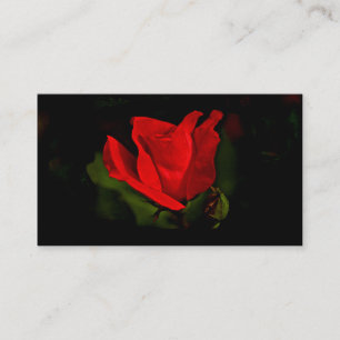 Rote Rose - Dark Passion Business Card Visitenkarte