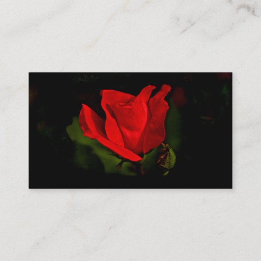 Rote Rose - Dark Passion Business Card Visitenkarte (Vorderseite)