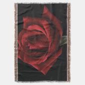 Rote Rose Decke (Vorderseite Vertikal)