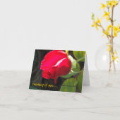 Rote Rose - Denken Sie an Sie - CA GardensCard Karte (Gelbe Blume)