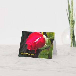 Rote Rose - Denken Sie an Sie - CA GardensCard Karte
