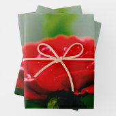 Rote Rose der Leidenschaft mit Taubstropfen Geschenkpapier Set (Beispiel)