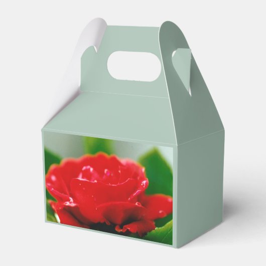 Rote Rose der Leidenschaft mit Taubstropfen Geschenkschachtel (Vorderseite)