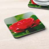 Rote Rose der Leidenschaft mit Taubstropfen Getränkeuntersetzer (Linke Seite)