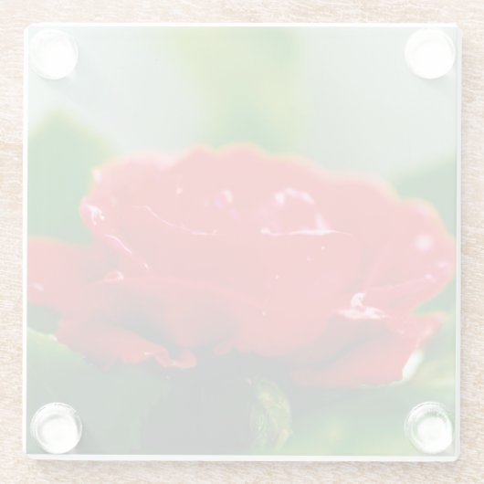 Rote Rose der Leidenschaft mit Taubstropfen Glasuntersetzer (Rückseite)