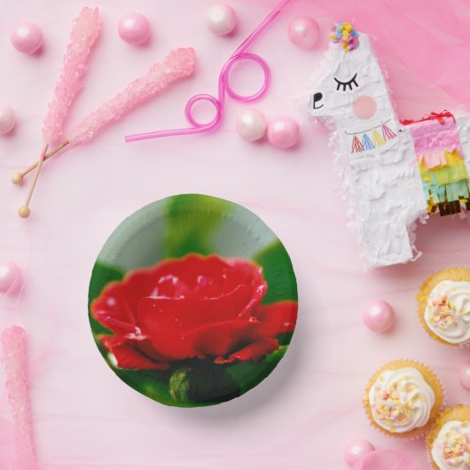 Rote Rose der Leidenschaft mit Taubstropfen Pappteller (Party)
