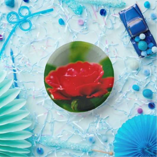 Rote Rose der Leidenschaft mit Taubstropfen Pappteller (Party)