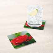 Rote Rose der Leidenschaft mit Taubstropfen Rechteckiger Pappuntersetzer (Vor Ort)