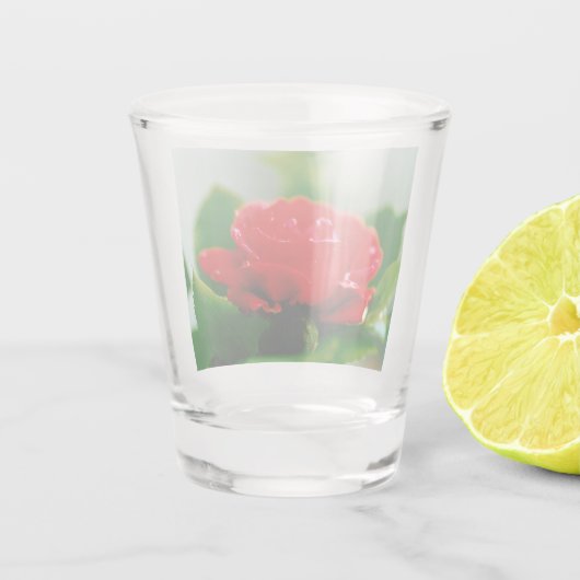 Rote Rose der Leidenschaft mit Taubstropfen Schnapsglas (Rückseite)