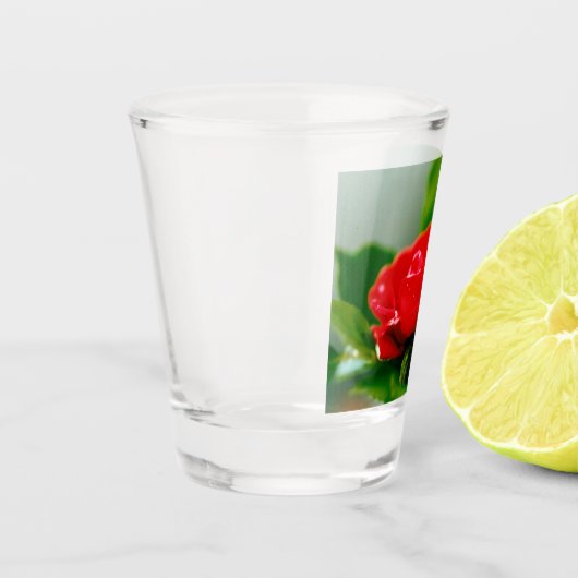 Rote Rose der Leidenschaft mit Taubstropfen Schnapsglas (Links)