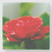 Rote Rose der Leidenschaft mit Taubstropfen Steinuntersetzer (Vorderseite)