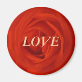 Rote Rose der Liebe Magnet (Vorne)