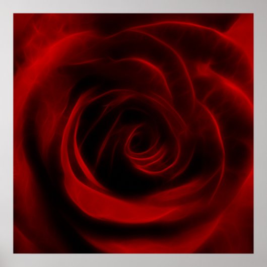 Rote Rose der Liebe Poster (Vorne)